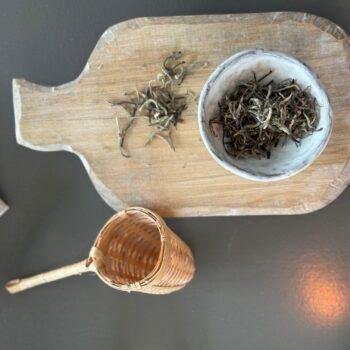 Darjeeling Silver Needles