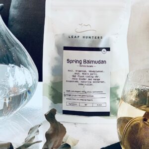 SpringBaimudan-1